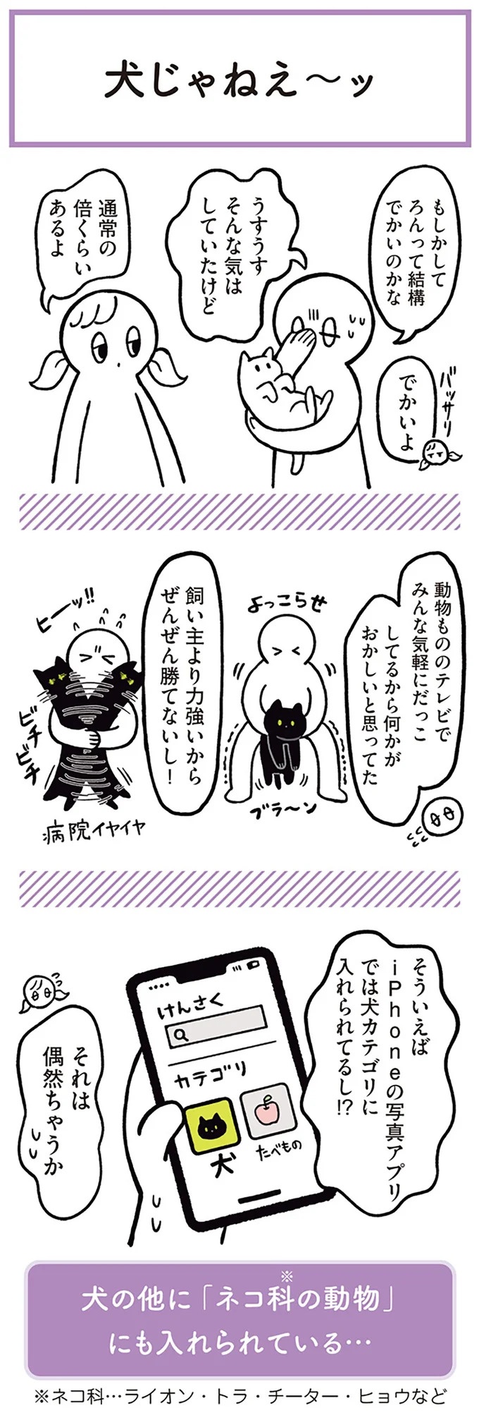 「ノラの子猫を保護してるからもらって」家にきた初日から…え、嘘でしょ？／黒猫ろんと暮らしたら（画像31/184枚目）