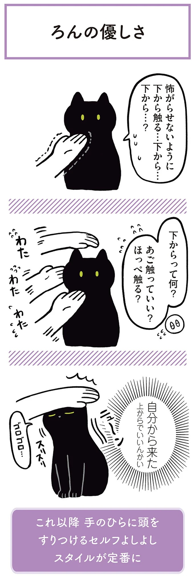 「ノラの子猫を保護してるからもらって」家にきた初日から…え、嘘でしょ？／黒猫ろんと暮らしたら（画像32/184枚目）