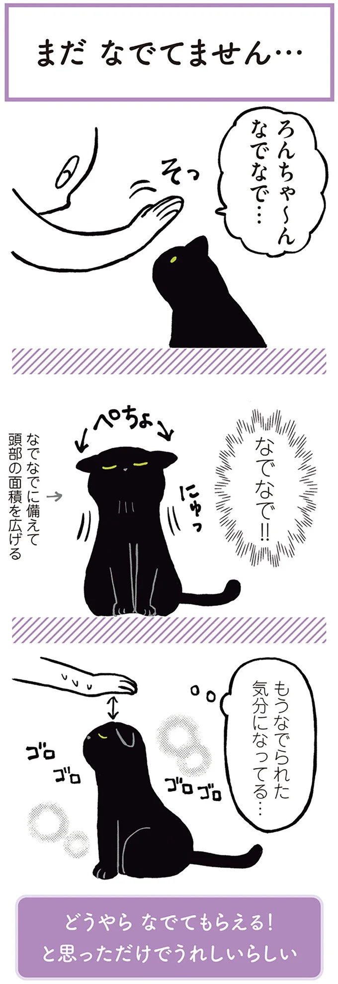 「ノラの子猫を保護してるからもらって」家にきた初日から…え、嘘でしょ？／黒猫ろんと暮らしたら（画像33/184枚目）