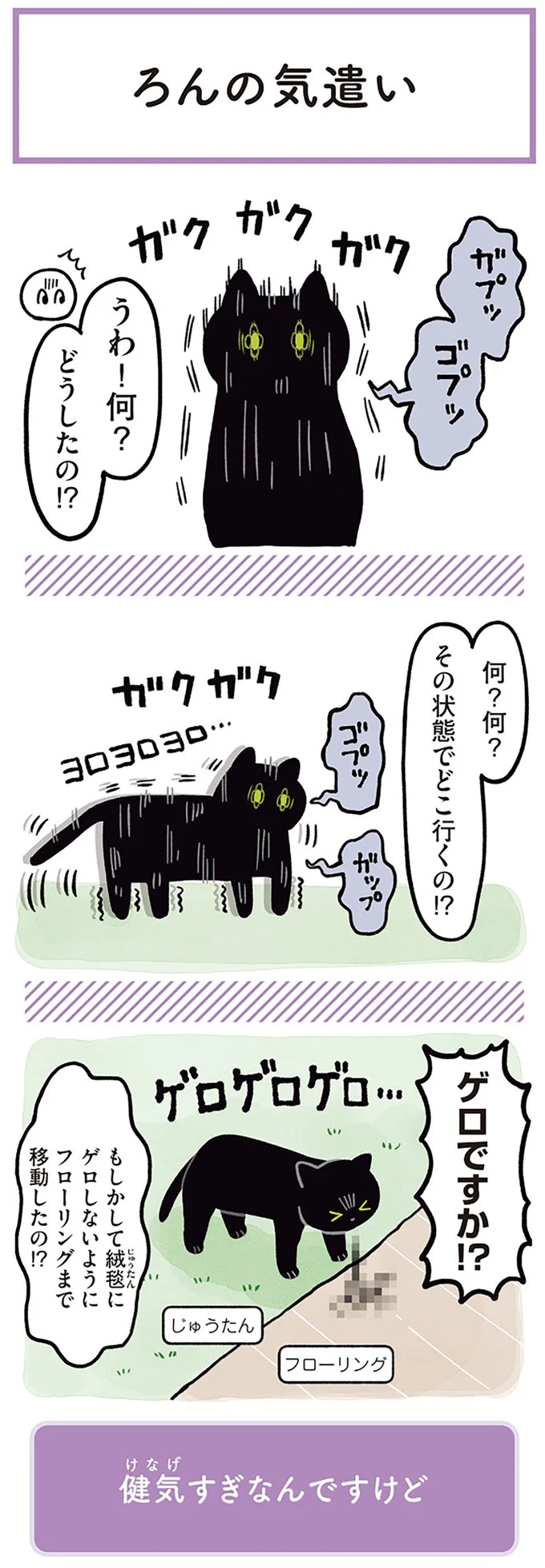 「ノラの子猫を保護してるからもらって」家にきた初日から…え、嘘でしょ？／黒猫ろんと暮らしたら（画像34/184枚目）