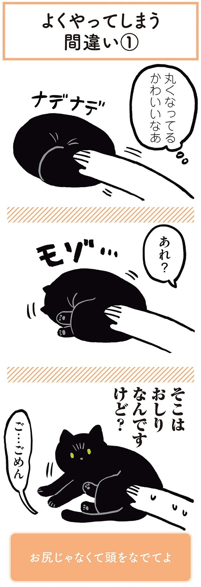 「ノラの子猫を保護してるからもらって」家にきた初日から…え、嘘でしょ？／黒猫ろんと暮らしたら（画像37/184枚目）