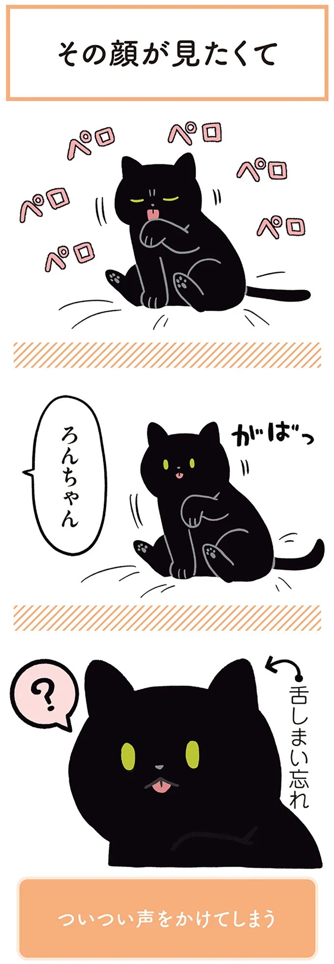 「ノラの子猫を保護してるからもらって」家にきた初日から…え、嘘でしょ？／黒猫ろんと暮らしたら（画像39/184枚目）