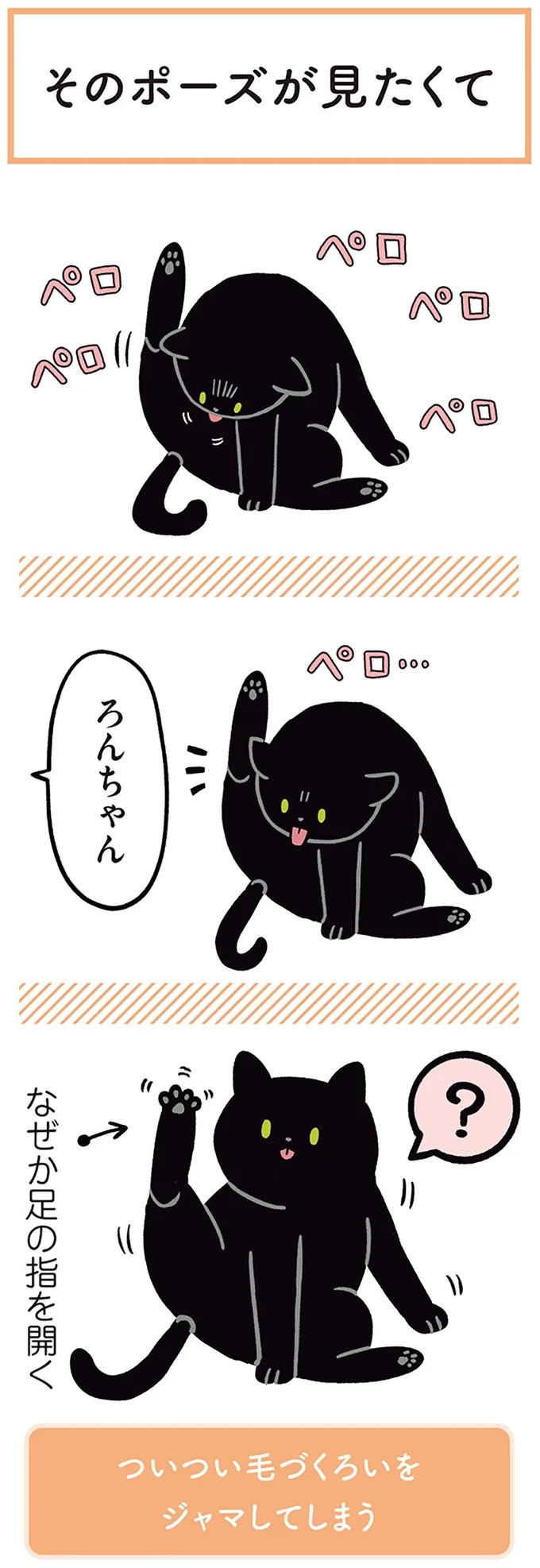 「ノラの子猫を保護してるからもらって」家にきた初日から…え、嘘でしょ？／黒猫ろんと暮らしたら（画像41/184枚目）