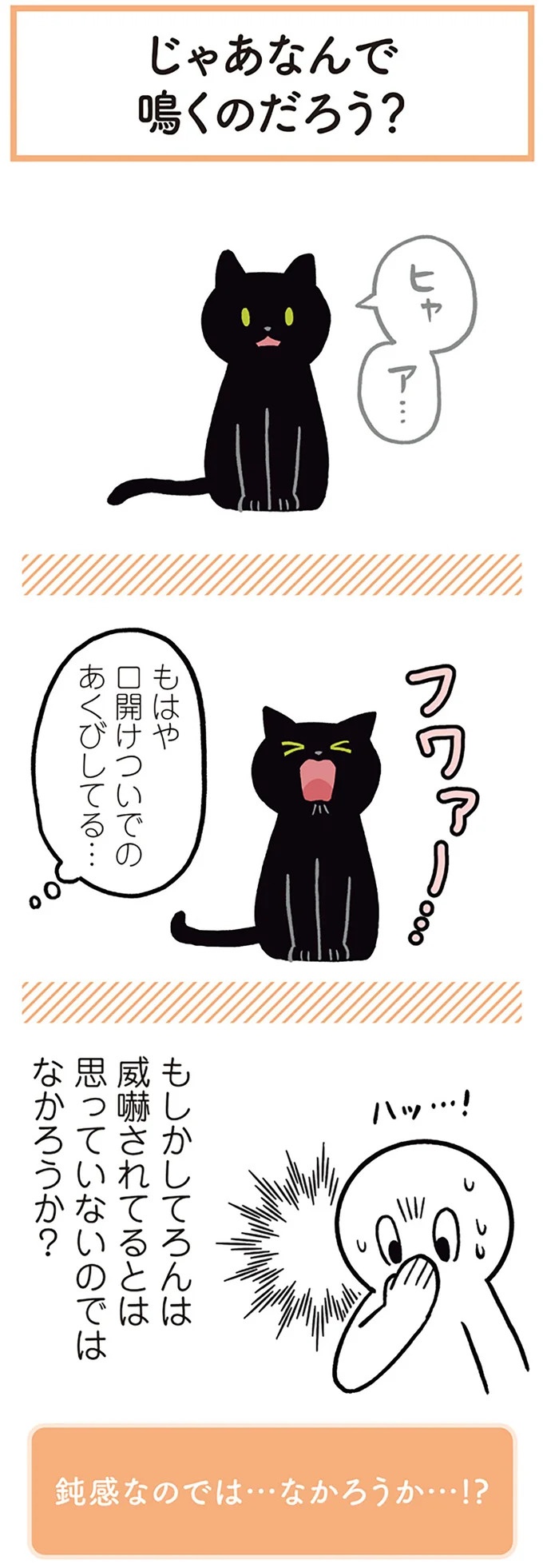 「ノラの子猫を保護してるからもらって」家にきた初日から…え、嘘でしょ？／黒猫ろんと暮らしたら（画像51/184枚目）