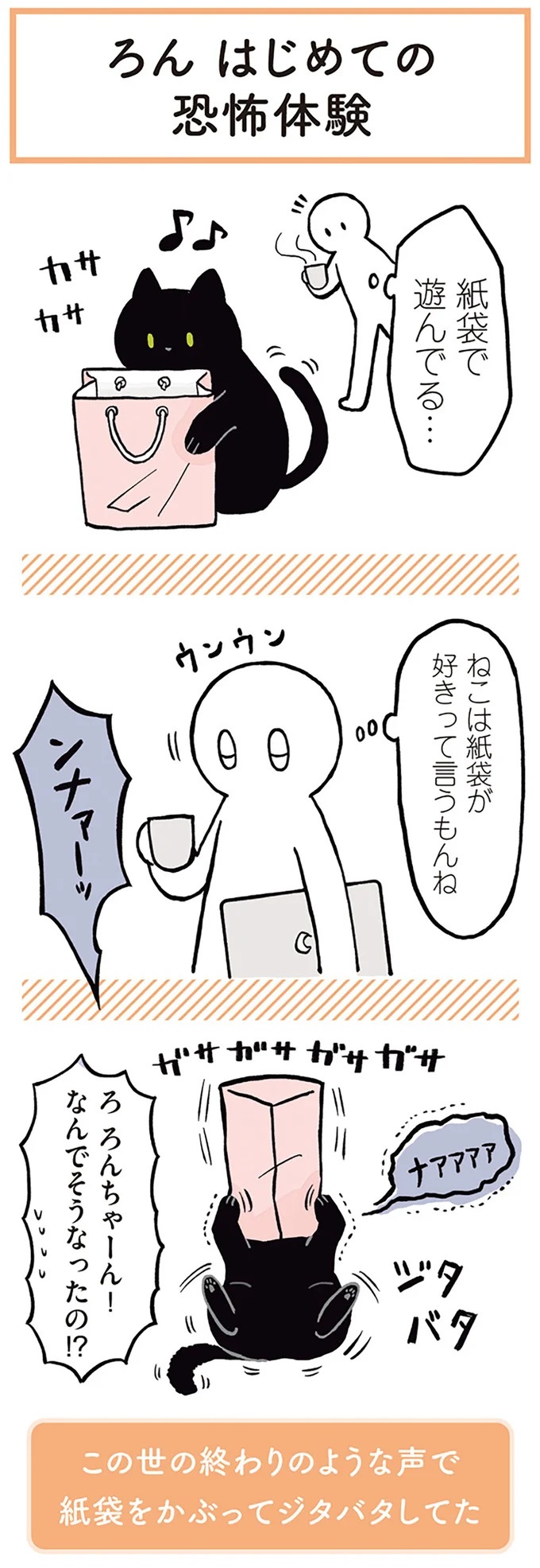 「ノラの子猫を保護してるからもらって」家にきた初日から…え、嘘でしょ？／黒猫ろんと暮らしたら（画像52/184枚目）