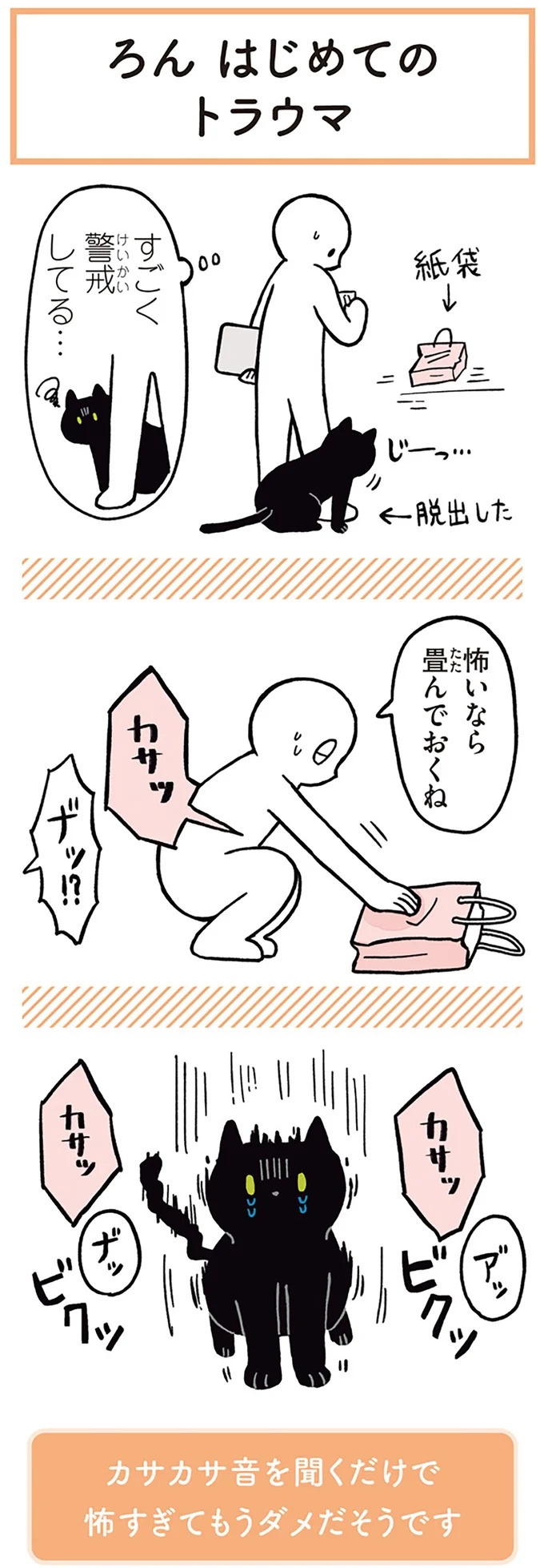「ノラの子猫を保護してるからもらって」家にきた初日から…え、嘘でしょ？／黒猫ろんと暮らしたら（画像53/184枚目）