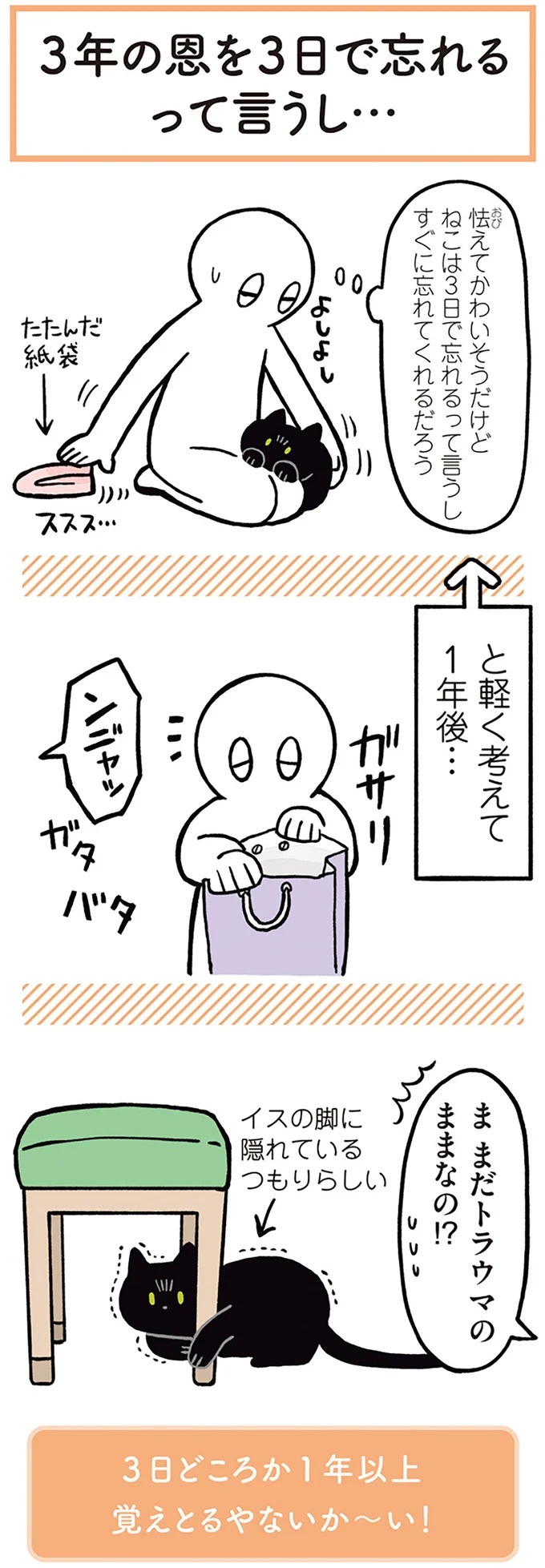 「ノラの子猫を保護してるからもらって」家にきた初日から…え、嘘でしょ？／黒猫ろんと暮らしたら（画像54/184枚目）