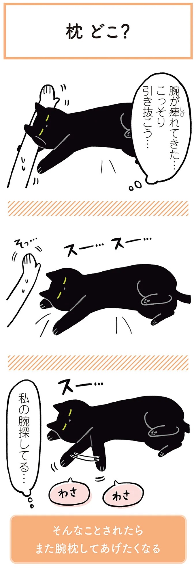 「ノラの子猫を保護してるからもらって」家にきた初日から…え、嘘でしょ？／黒猫ろんと暮らしたら（画像69/184枚目）