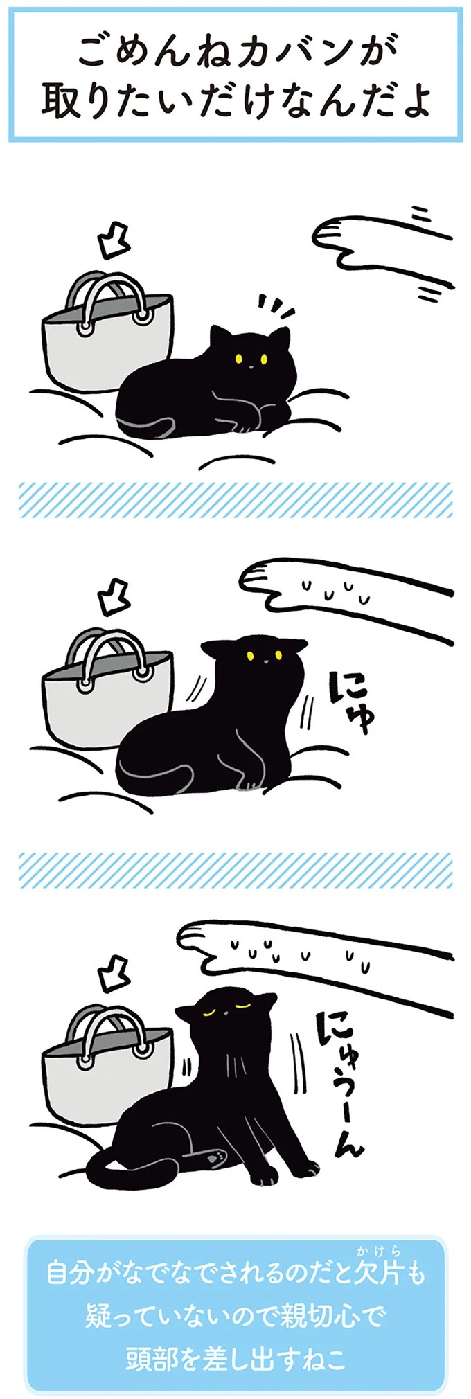 「ノラの子猫を保護してるからもらって」家にきた初日から…え、嘘でしょ？／黒猫ろんと暮らしたら（画像72/184枚目）
