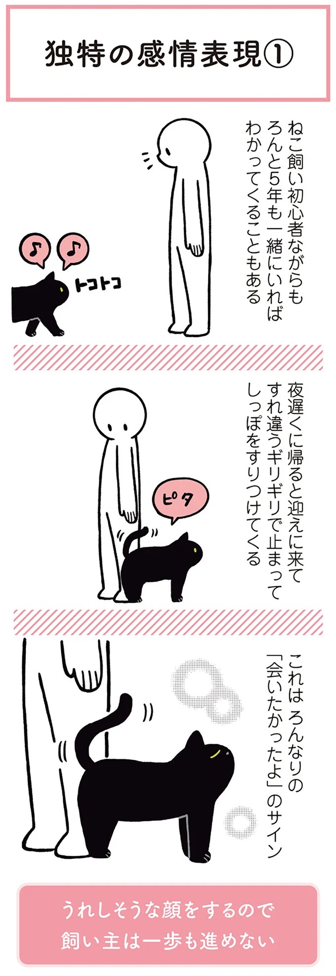「ノラの子猫を保護してるからもらって」家にきた初日から…え、嘘でしょ？／黒猫ろんと暮らしたら（画像79/184枚目）