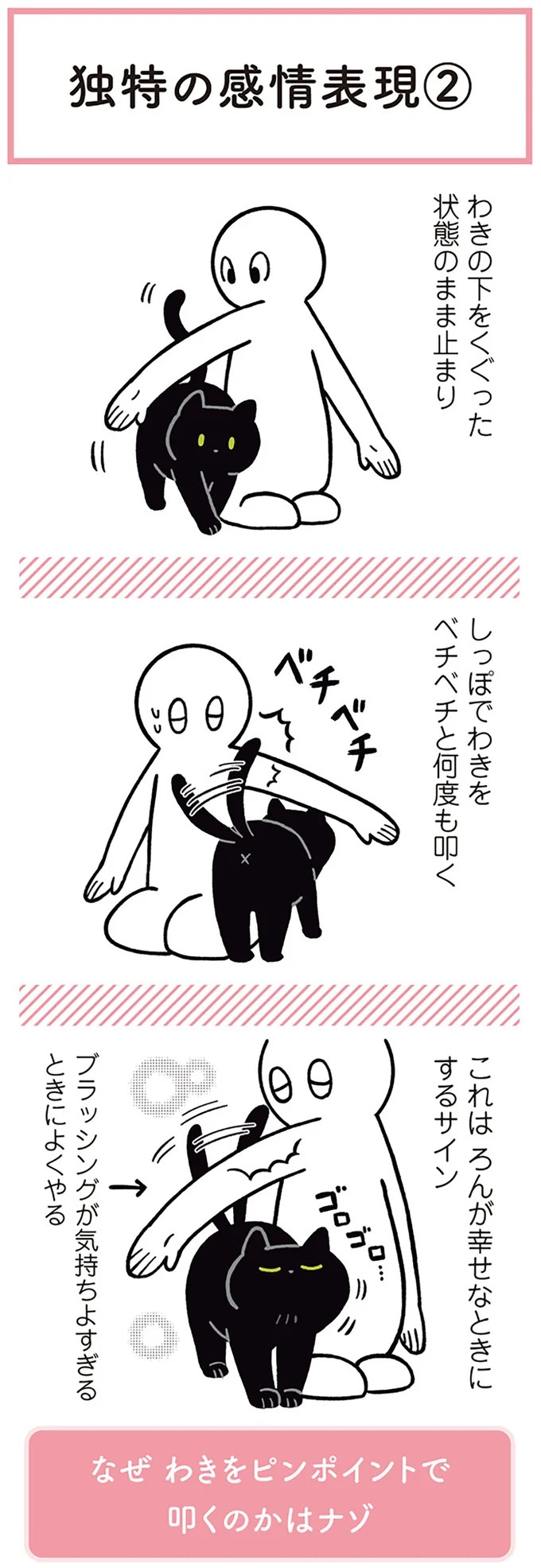 「ノラの子猫を保護してるからもらって」家にきた初日から…え、嘘でしょ？／黒猫ろんと暮らしたら（画像81/184枚目）