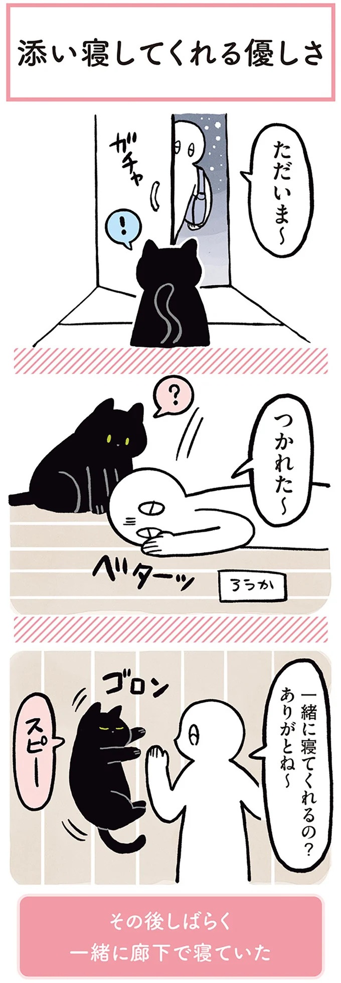 「ノラの子猫を保護してるからもらって」家にきた初日から…え、嘘でしょ？／黒猫ろんと暮らしたら（画像87/184枚目）