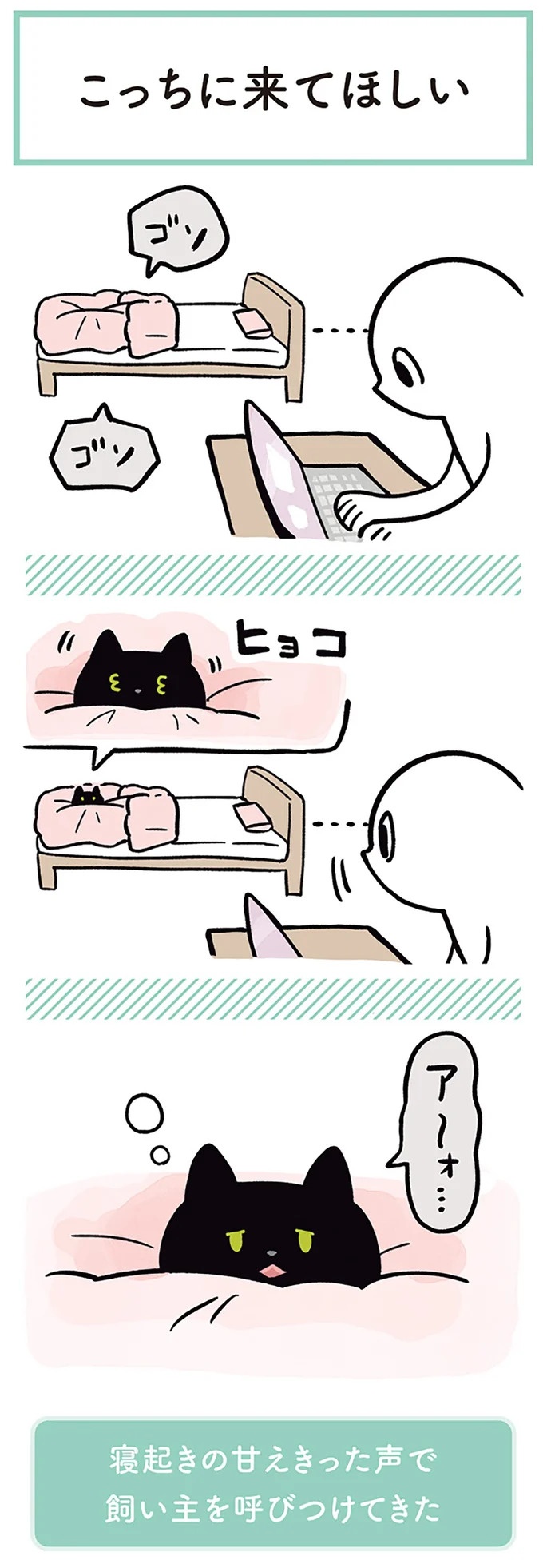 「ノラの子猫を保護してるからもらって」家にきた初日から…え、嘘でしょ？／黒猫ろんと暮らしたら（画像94/184枚目）