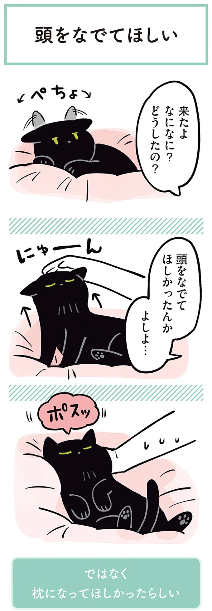「ノラの子猫を保護してるからもらって」家にきた初日から…え、嘘でしょ？／黒猫ろんと暮らしたら（画像97/184枚目）