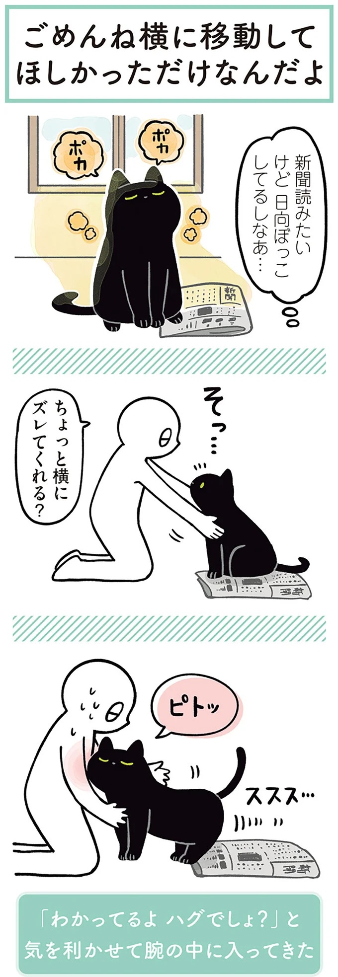 「ノラの子猫を保護してるからもらって」家にきた初日から…え、嘘でしょ？／黒猫ろんと暮らしたら（画像102/184枚目）