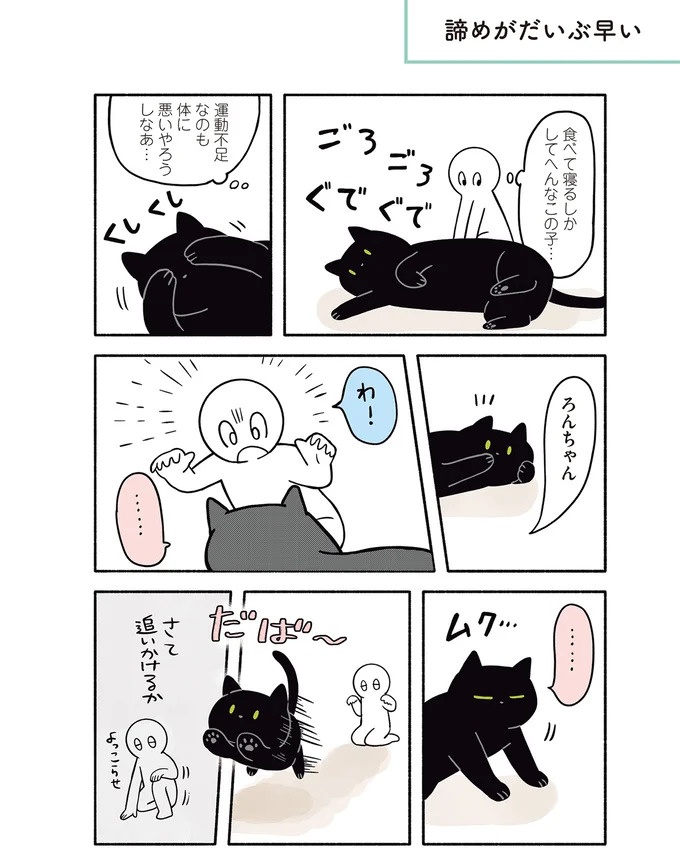 「ノラの子猫を保護してるからもらって」家にきた初日から…え、嘘でしょ？／黒猫ろんと暮らしたら（画像104/184枚目）