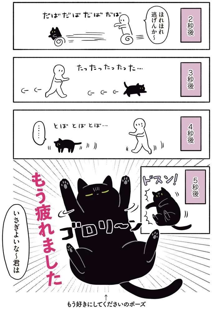 「ノラの子猫を保護してるからもらって」家にきた初日から…え、嘘でしょ？／黒猫ろんと暮らしたら（画像106/184枚目）
