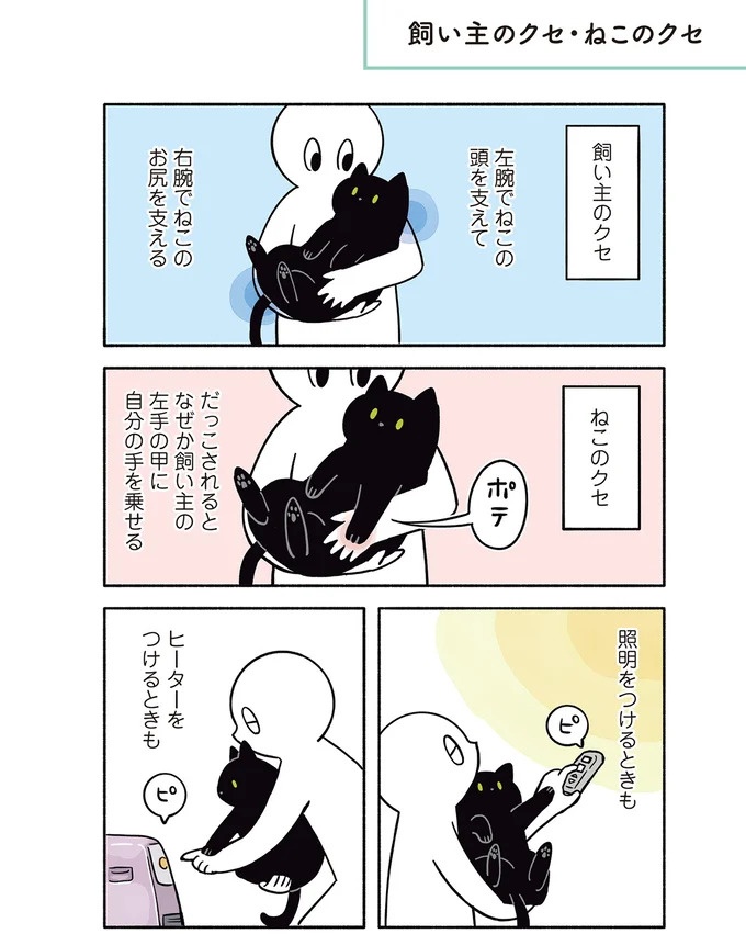 「ノラの子猫を保護してるからもらって」家にきた初日から…え、嘘でしょ？／黒猫ろんと暮らしたら（画像117/184枚目）
