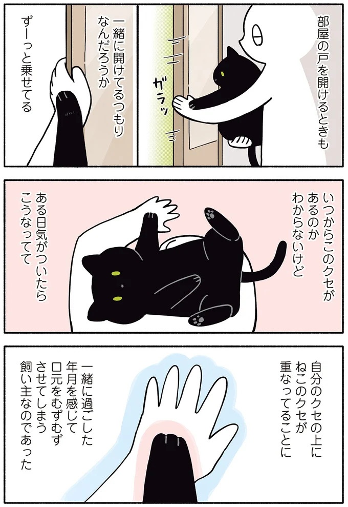 「ノラの子猫を保護してるからもらって」家にきた初日から…え、嘘でしょ？／黒猫ろんと暮らしたら（画像118/184枚目）