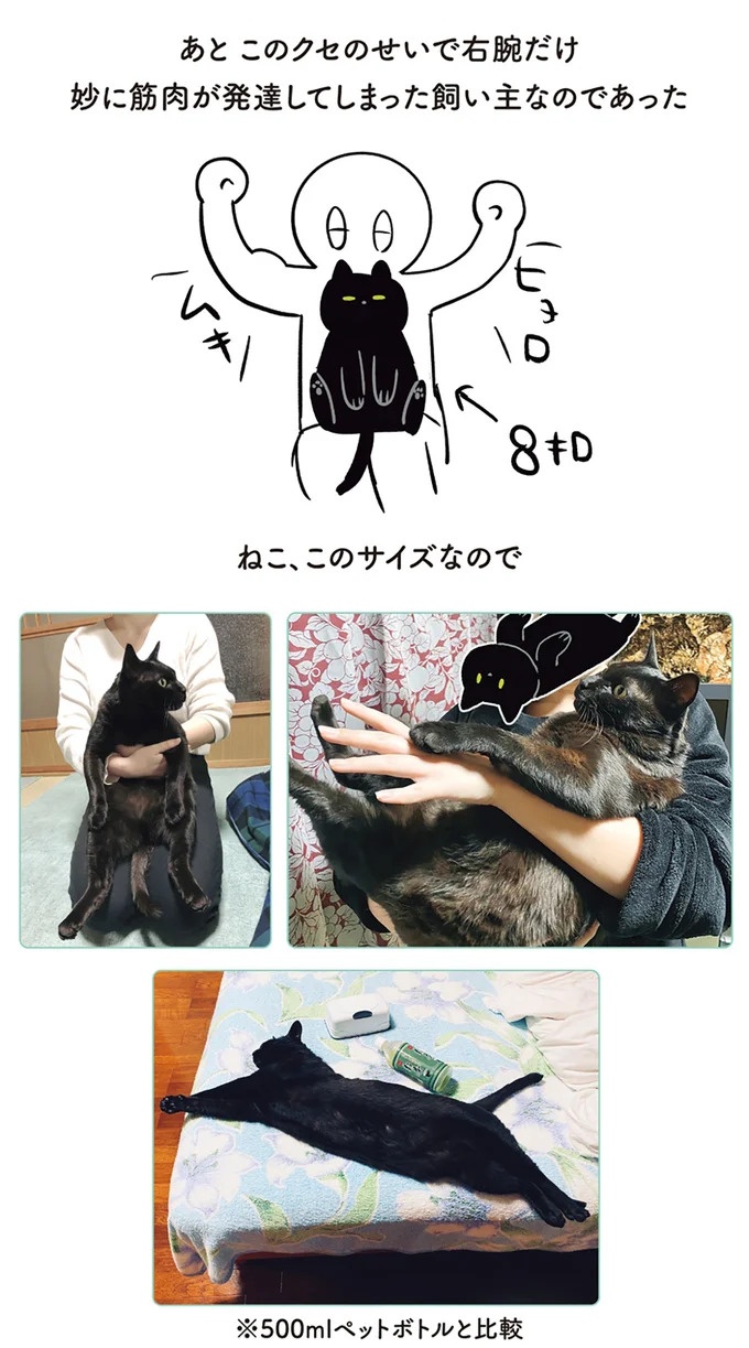 「ノラの子猫を保護してるからもらって」家にきた初日から…え、嘘でしょ？／黒猫ろんと暮らしたら（画像119/184枚目）