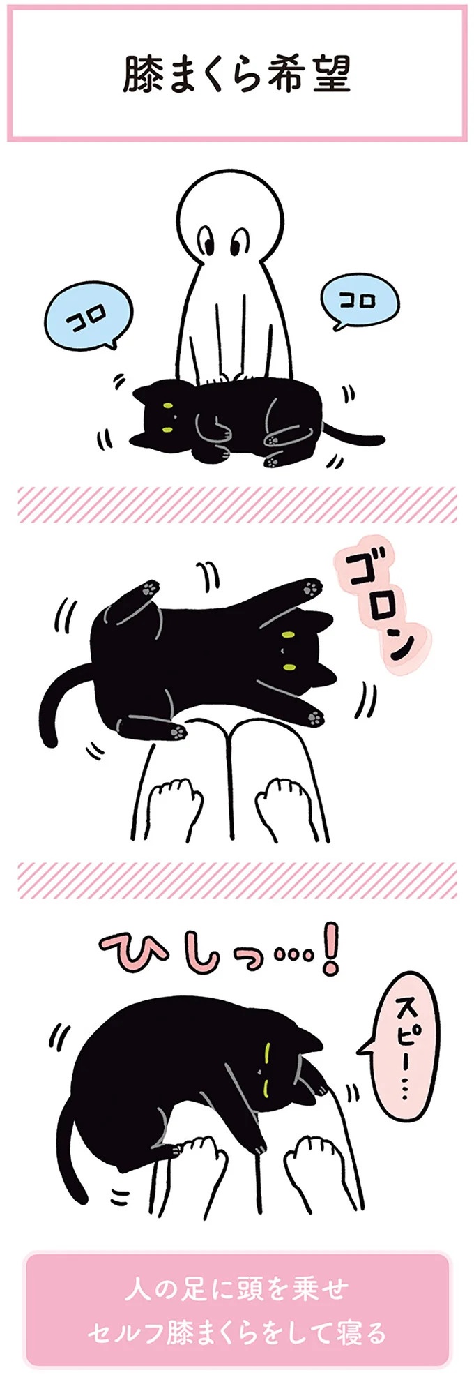 「ノラの子猫を保護してるからもらって」家にきた初日から…え、嘘でしょ？／黒猫ろんと暮らしたら（画像123/184枚目）