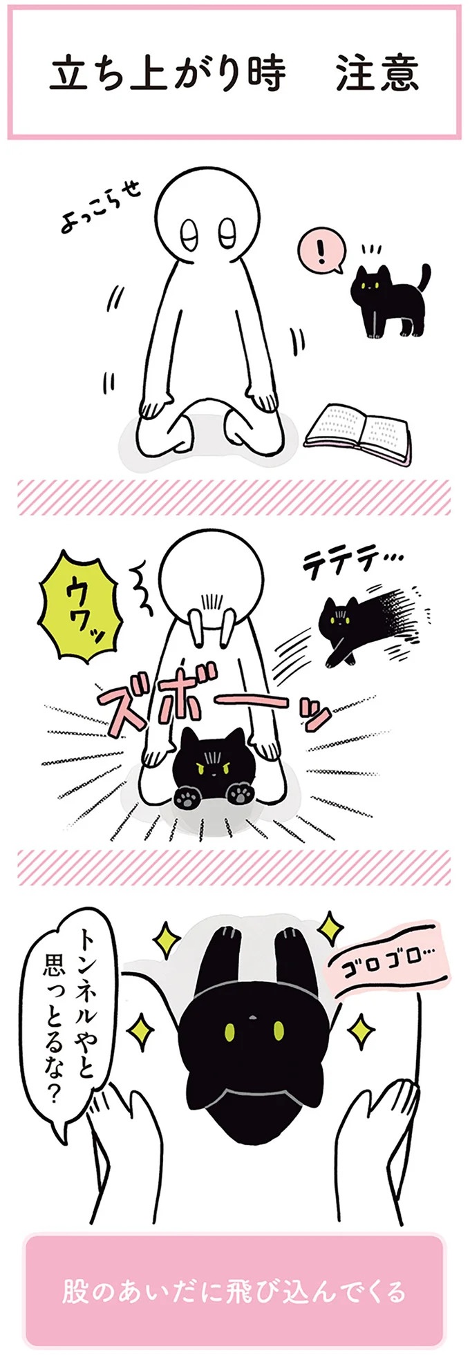 「ノラの子猫を保護してるからもらって」家にきた初日から…え、嘘でしょ？／黒猫ろんと暮らしたら（画像124/184枚目）