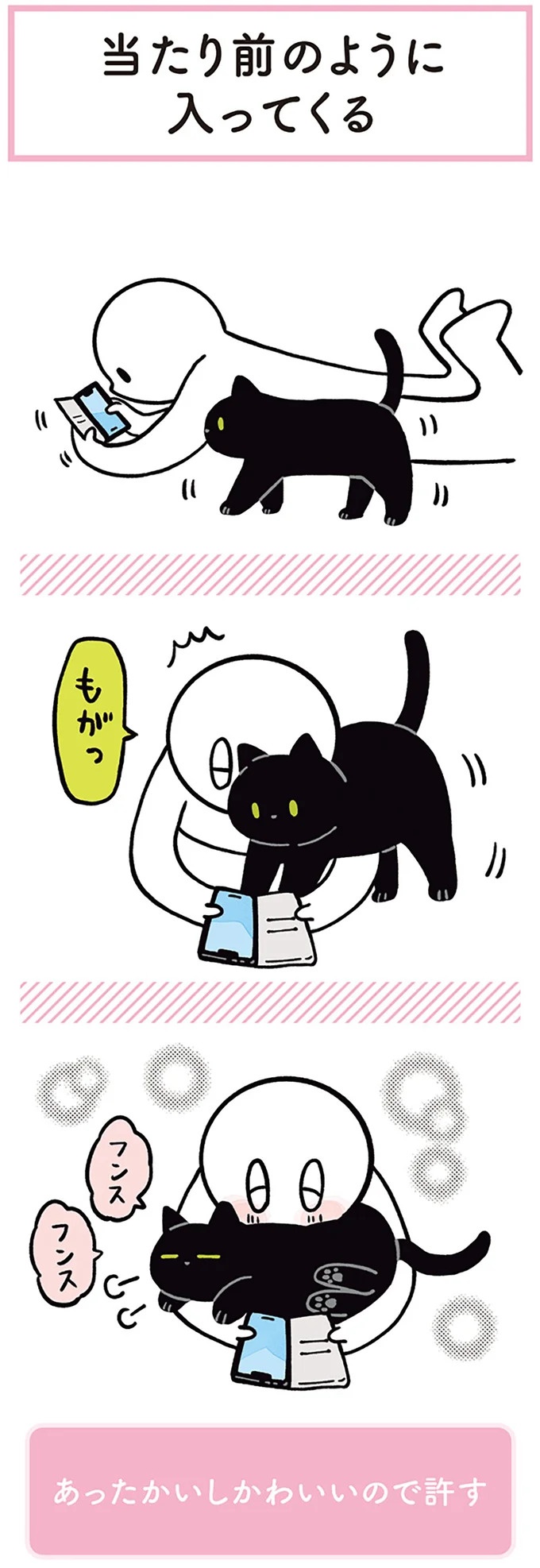 「ノラの子猫を保護してるからもらって」家にきた初日から…え、嘘でしょ？／黒猫ろんと暮らしたら（画像126/184枚目）