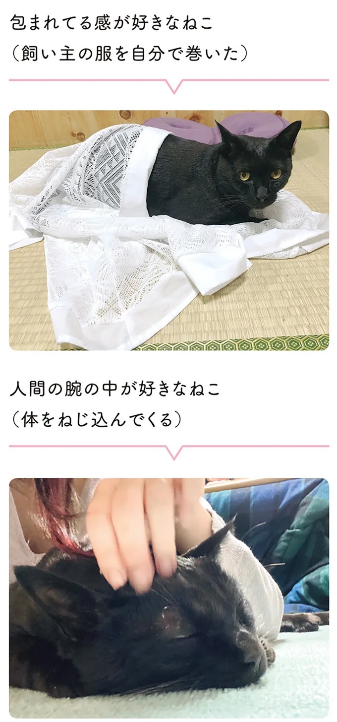 「ノラの子猫を保護してるからもらって」家にきた初日から…え、嘘でしょ？／黒猫ろんと暮らしたら（画像127/184枚目）