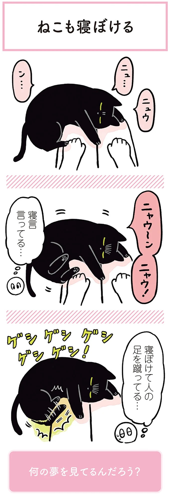 「ノラの子猫を保護してるからもらって」家にきた初日から…え、嘘でしょ？／黒猫ろんと暮らしたら（画像128/184枚目）