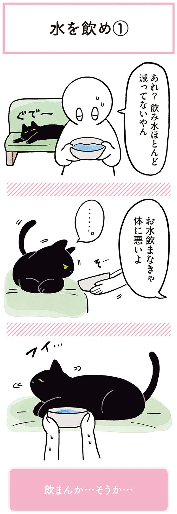 「ノラの子猫を保護してるからもらって」家にきた初日から…え、嘘でしょ？／黒猫ろんと暮らしたら（画像131/184枚目）