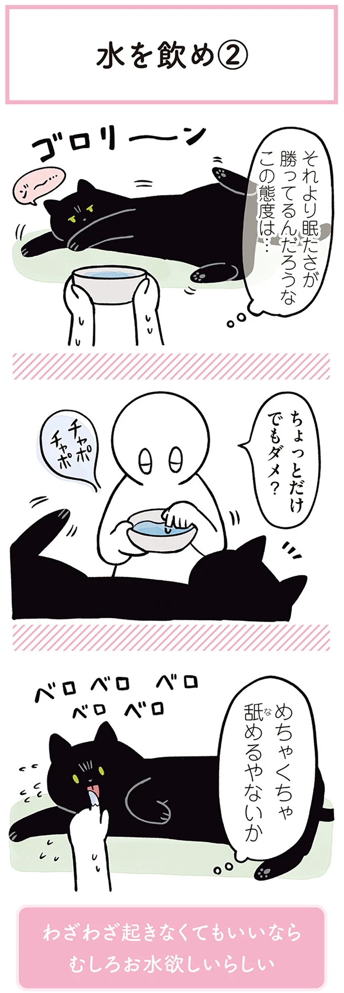 「ノラの子猫を保護してるからもらって」家にきた初日から…え、嘘でしょ？／黒猫ろんと暮らしたら（画像132/184枚目）