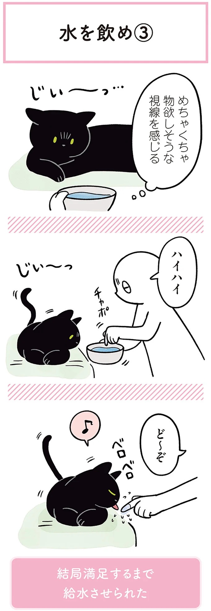 「ノラの子猫を保護してるからもらって」家にきた初日から…え、嘘でしょ？／黒猫ろんと暮らしたら（画像133/184枚目）