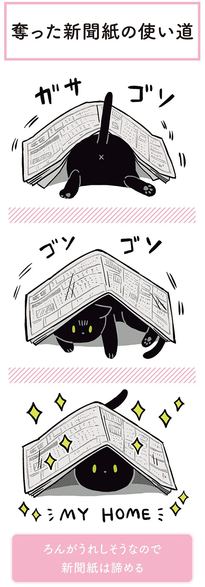 「ノラの子猫を保護してるからもらって」家にきた初日から…え、嘘でしょ？／黒猫ろんと暮らしたら（画像137/184枚目）
