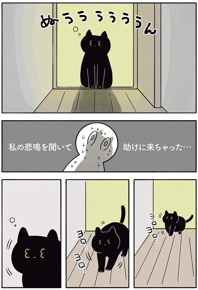 「ノラの子猫を保護してるからもらって」家にきた初日から…え、嘘でしょ？／黒猫ろんと暮らしたら（画像139/184枚目）