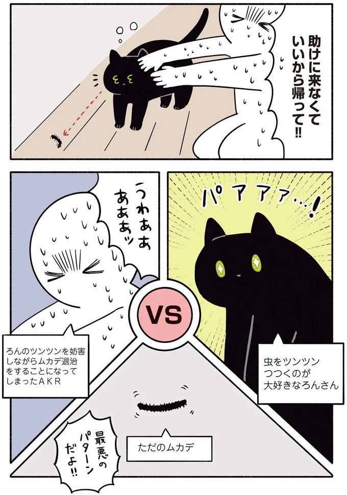 「ノラの子猫を保護してるからもらって」家にきた初日から…え、嘘でしょ？／黒猫ろんと暮らしたら（画像141/184枚目）