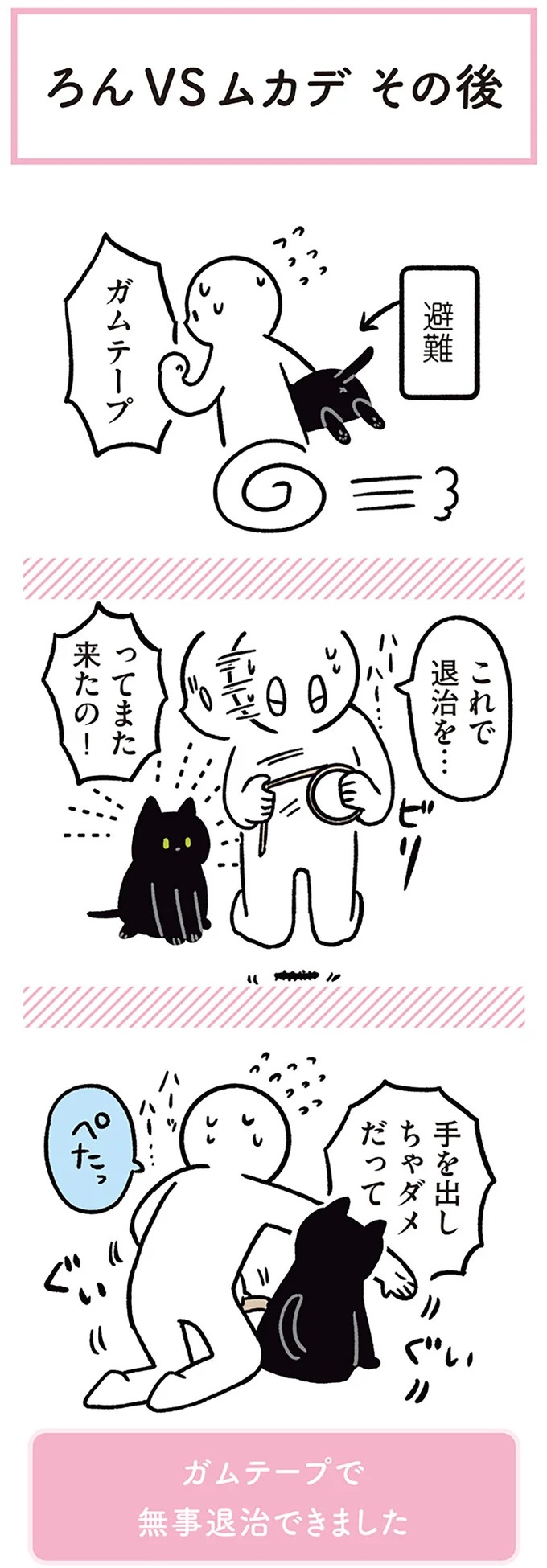 「ノラの子猫を保護してるからもらって」家にきた初日から…え、嘘でしょ？／黒猫ろんと暮らしたら（画像142/184枚目）