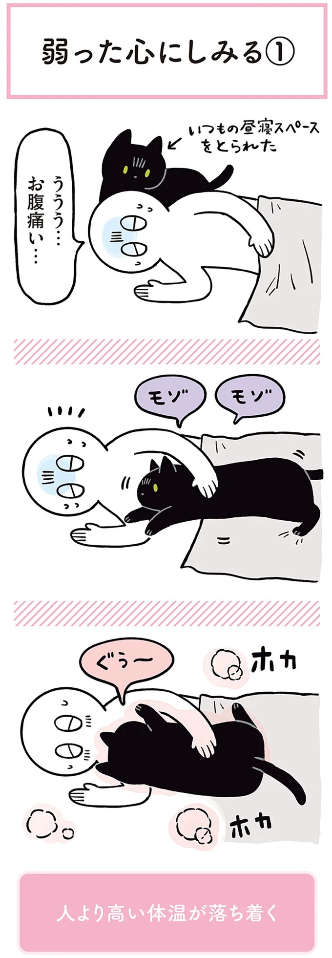 「ノラの子猫を保護してるからもらって」家にきた初日から…え、嘘でしょ？／黒猫ろんと暮らしたら（画像144/184枚目）