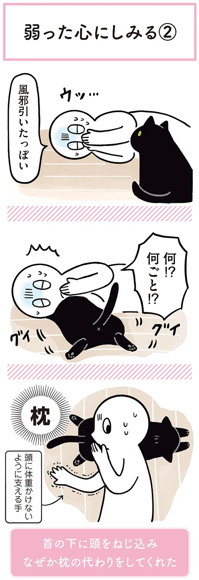 「ノラの子猫を保護してるからもらって」家にきた初日から…え、嘘でしょ？／黒猫ろんと暮らしたら（画像146/184枚目）