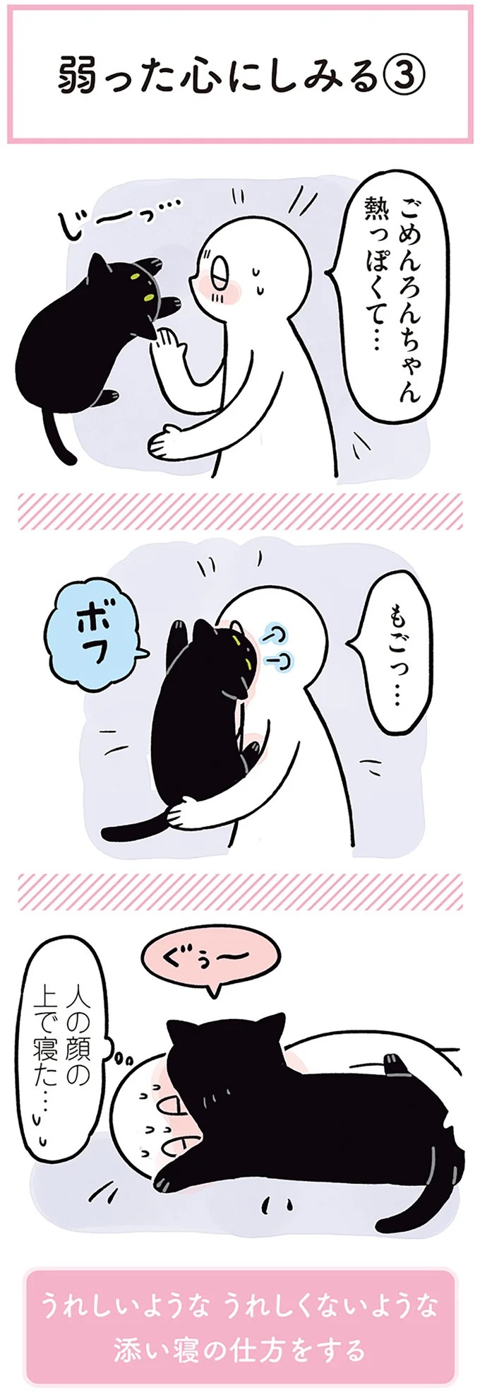 「ノラの子猫を保護してるからもらって」家にきた初日から…え、嘘でしょ？／黒猫ろんと暮らしたら（画像147/184枚目）