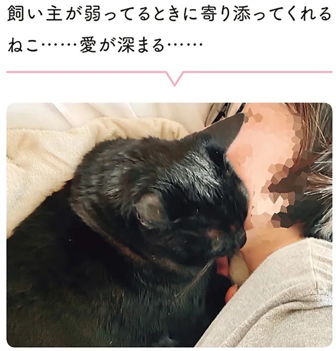 「ノラの子猫を保護してるからもらって」家にきた初日から…え、嘘でしょ？／黒猫ろんと暮らしたら（画像148/184枚目）