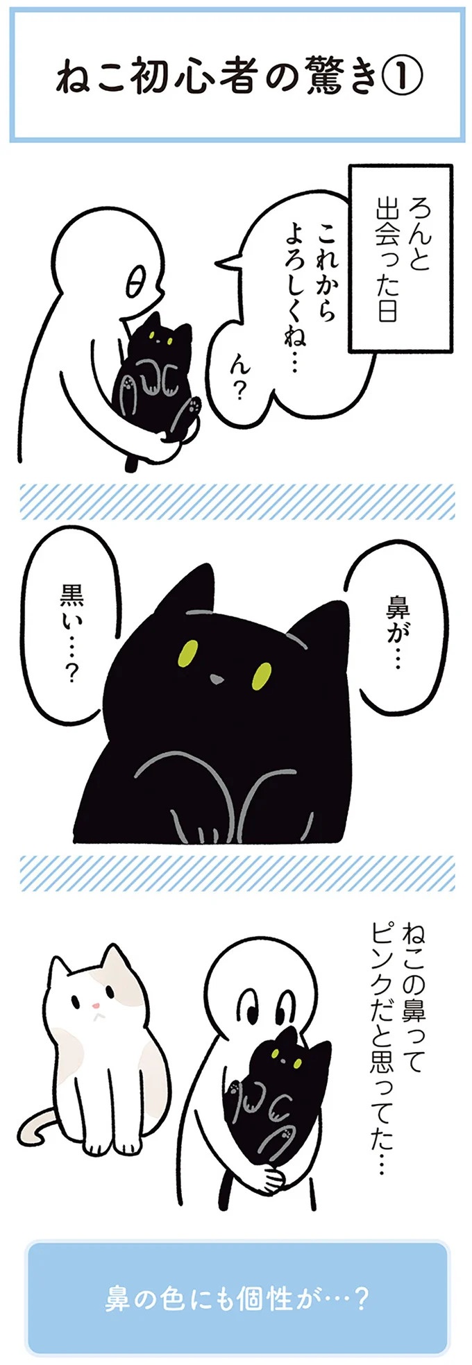 「ノラの子猫を保護してるからもらって」家にきた初日から…え、嘘でしょ？／黒猫ろんと暮らしたら（画像149/184枚目）