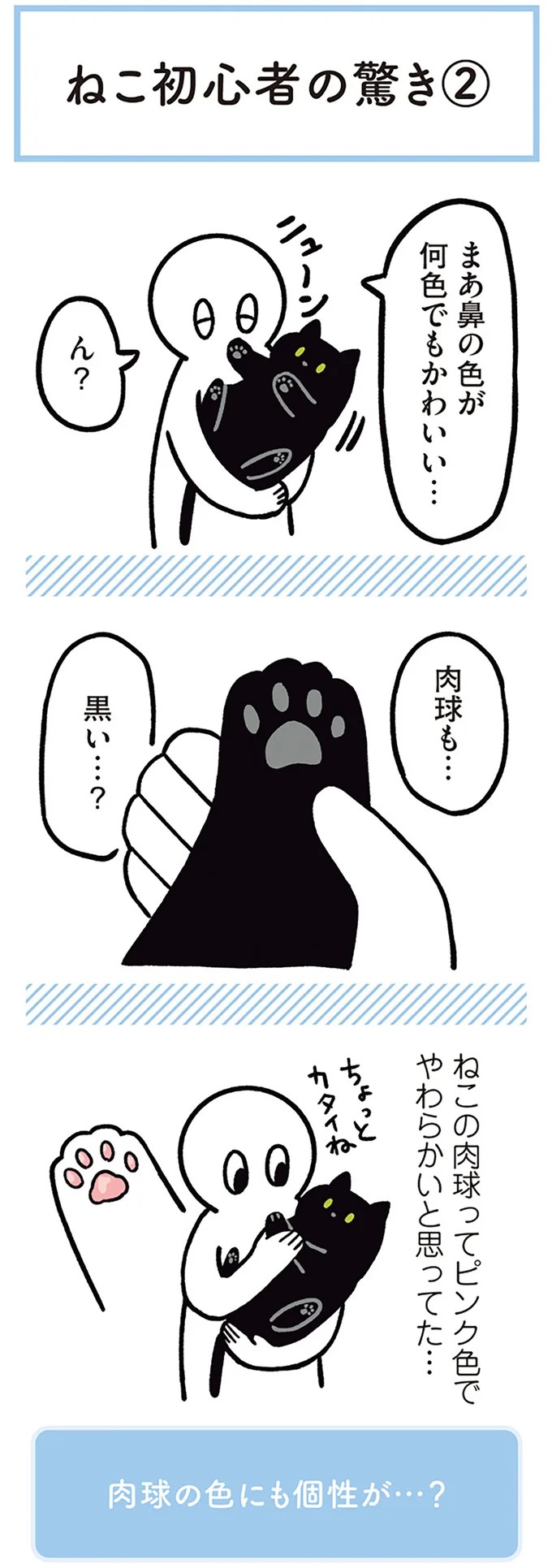 「ノラの子猫を保護してるからもらって」家にきた初日から…え、嘘でしょ？／黒猫ろんと暮らしたら（画像151/184枚目）