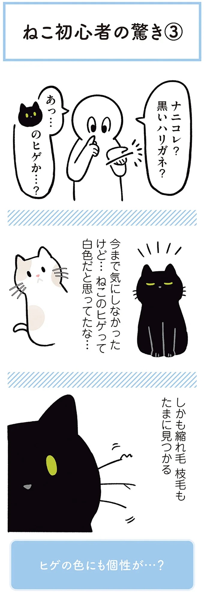 「ノラの子猫を保護してるからもらって」家にきた初日から…え、嘘でしょ？／黒猫ろんと暮らしたら（画像152/184枚目）