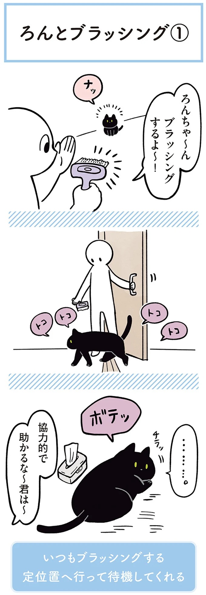 「ノラの子猫を保護してるからもらって」家にきた初日から…え、嘘でしょ？／黒猫ろんと暮らしたら（画像154/184枚目）
