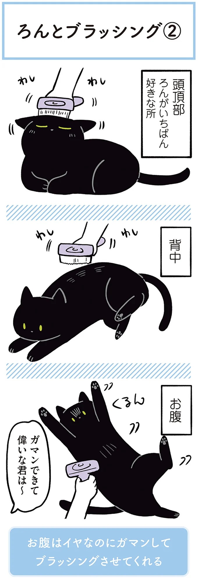 「ノラの子猫を保護してるからもらって」家にきた初日から…え、嘘でしょ？／黒猫ろんと暮らしたら（画像156/184枚目）