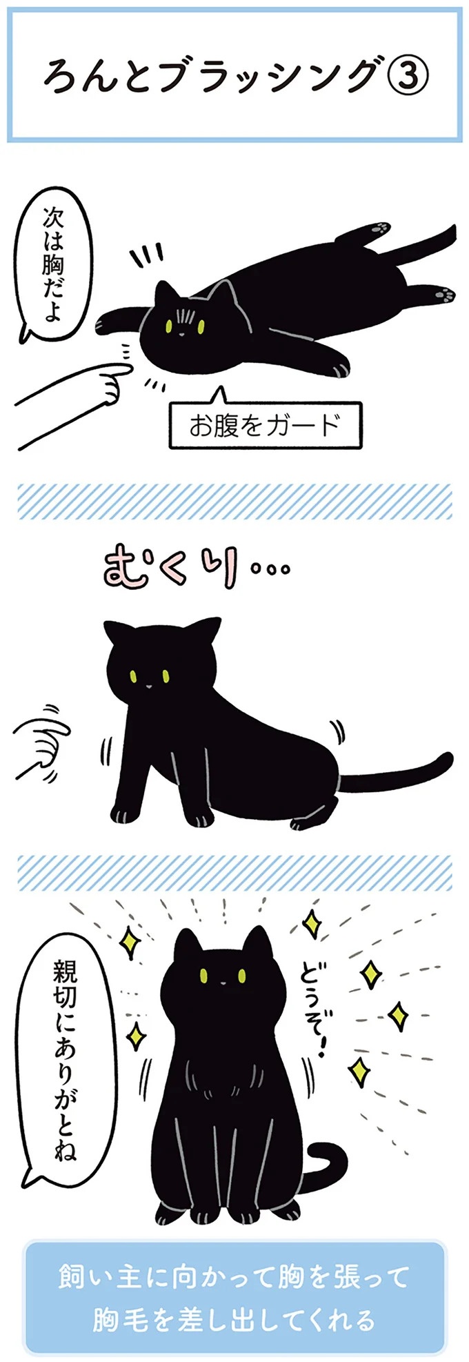 「ノラの子猫を保護してるからもらって」家にきた初日から…え、嘘でしょ？／黒猫ろんと暮らしたら（画像157/184枚目）