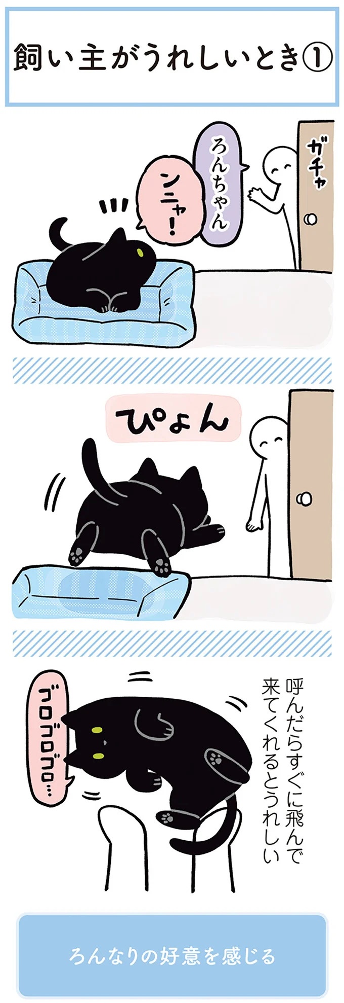 「ノラの子猫を保護してるからもらって」家にきた初日から…え、嘘でしょ？／黒猫ろんと暮らしたら（画像159/184枚目）