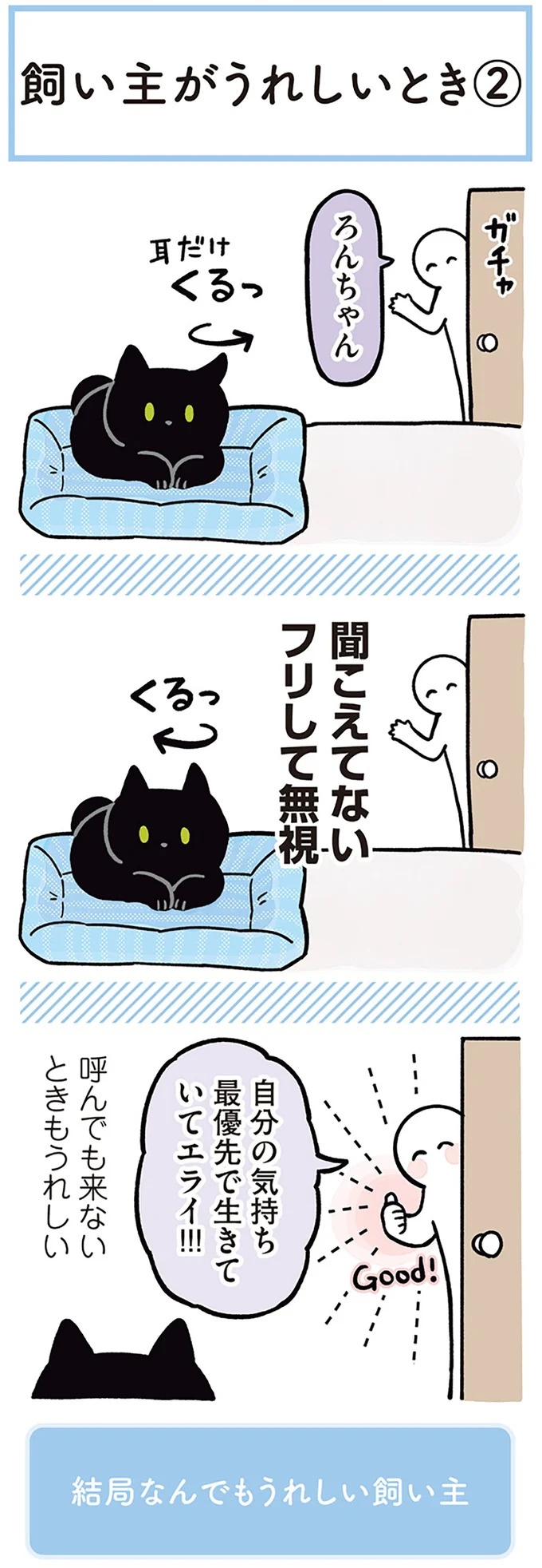 「ノラの子猫を保護してるからもらって」家にきた初日から…え、嘘でしょ？／黒猫ろんと暮らしたら（画像161/184枚目）