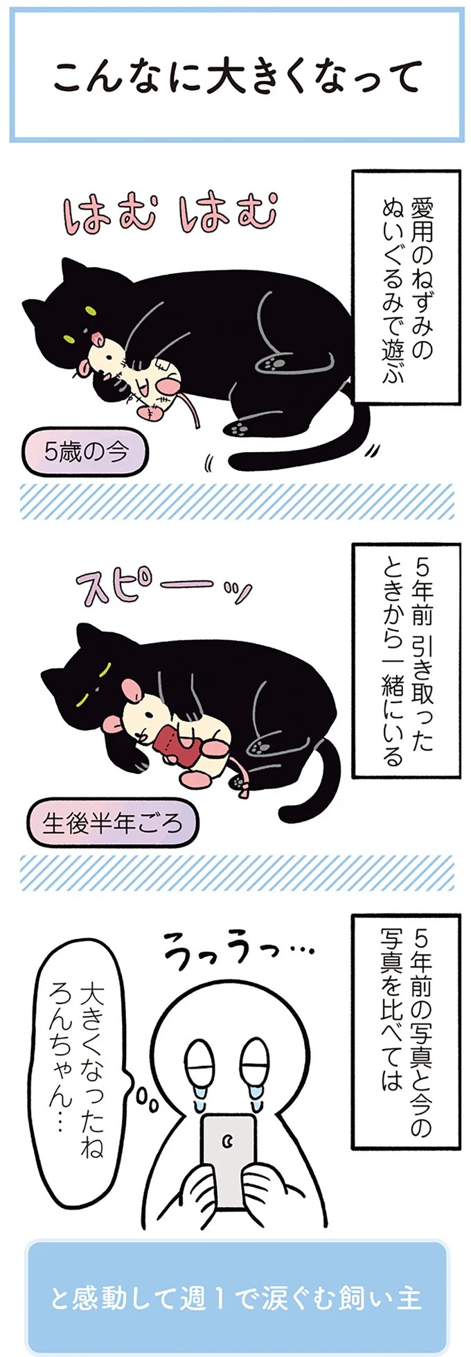 「ノラの子猫を保護してるからもらって」家にきた初日から…え、嘘でしょ？／黒猫ろんと暮らしたら（画像162/184枚目）