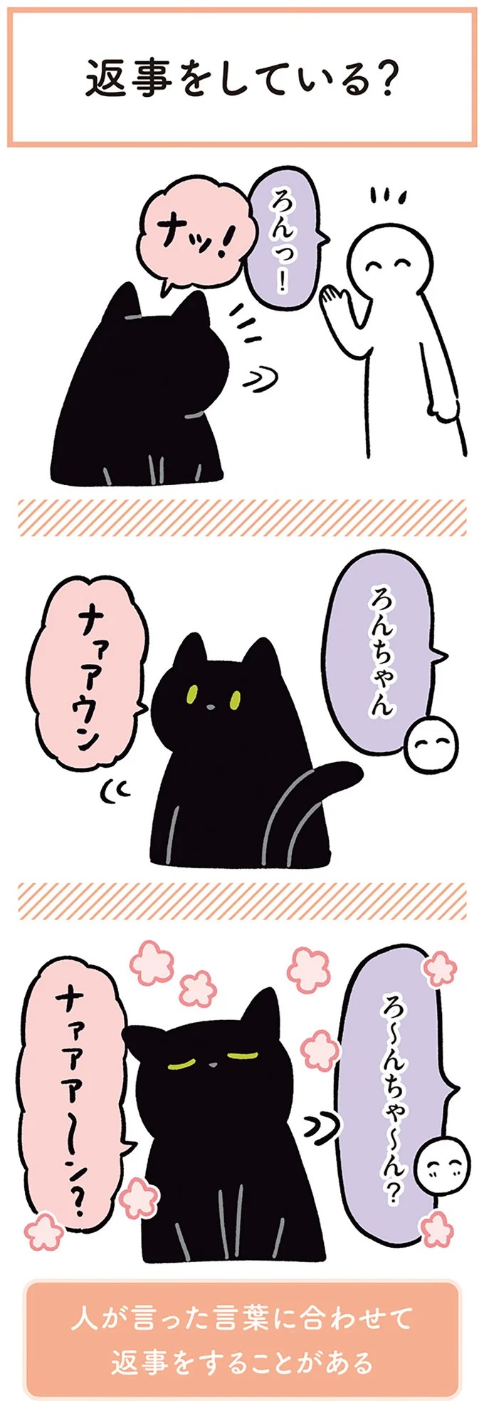 「ノラの子猫を保護してるからもらって」家にきた初日から…え、嘘でしょ？／黒猫ろんと暮らしたら（画像164/184枚目）